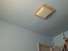 -包头南海湿地景区