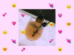 -杜尚rooftop露台酒吧