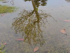 -钟山体育运动公园