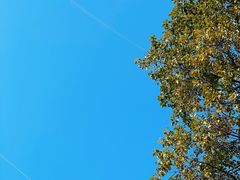 -漕湖湿地公园
