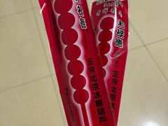 -和禄德冰糖葫芦