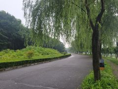 -洨河生态公园