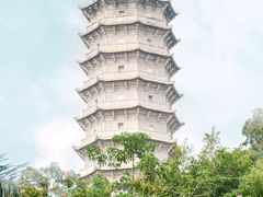 -深圳国际园林花卉博览园