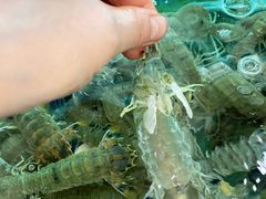 -合家小菜餐馆(新诚花苑店)