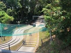 -圣淘沙天际线斜坡滑车