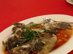 清蒸石斑鱼-潮皇食府(北京店)