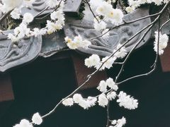 -钱王祠