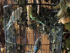-西西里轰趴日租聚会别墅·团建拓展