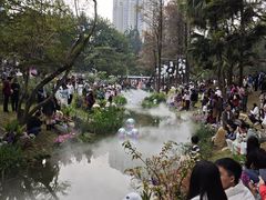 -人民公园(罗湖区)