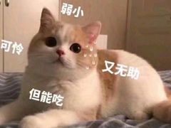 -杨记隆府(白象街店)