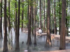 -东湖落雁景区