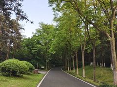 -宜兴龙背山森林公园