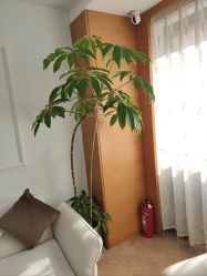 -HEYAN荷妍专业脱毛连锁机构