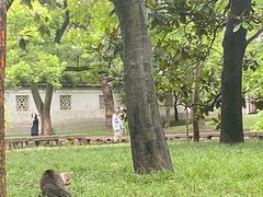 -西园戒幢律寺