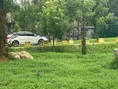 -秦皇岛野生动物园