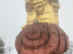 -大金鹰园