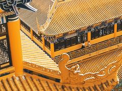 -东莞市大岭山森林公园