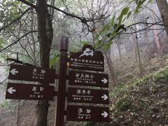 -四明山国家森林公园