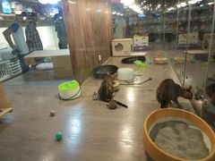 -宠物世家(仲盛世界商城店)
