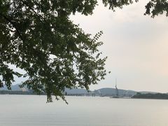 -高子水居