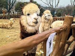 -无锡动物园·太湖欢乐园