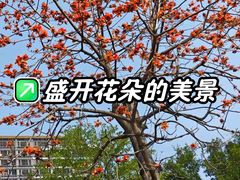 -映月湖公园
