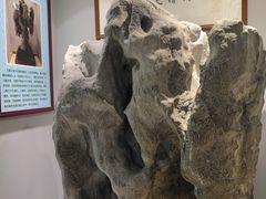 -宝安区结缘奇石博物馆