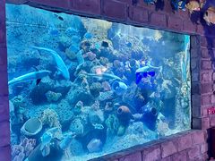 -左海海底世界