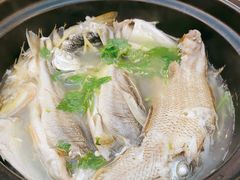-抱德·潮汕味(敦和店原惠城鱼仔)
