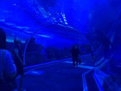 -成都浩海立方海洋公园