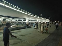 -演武大桥观景平台