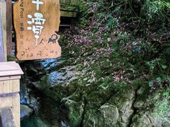 -大九湖