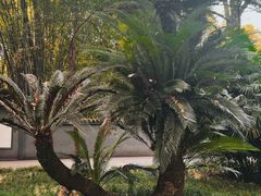 -成都杜甫草堂博物馆