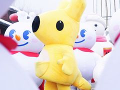 -少华山国家森林公园