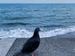 -灌篮高手动画打卡地