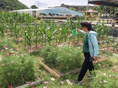 -宁波九龙湖开元度假村