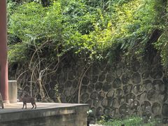 -海南文笔峰盘古文化旅游区