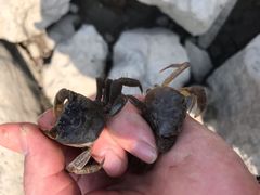 -上海怡沁园度假酒店