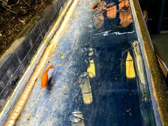 -汉九宫牛肉面·清真(兰州市自来水总公司住宅楼店)