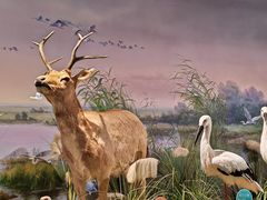 -湖南省地质博物馆