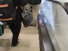 -厦门高崎国际机场-T3航站楼