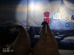 -临沂极地海洋王国