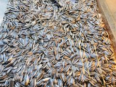 -杨记板栗(天虹总店)