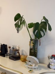 -美肤盾祛痘·问题肌头疗管理中心