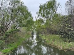 -溱湖国家湿地公园