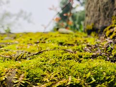 -金堂县云顶石城风景区