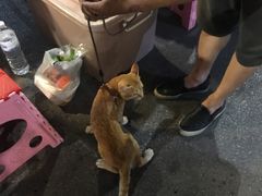 -周日夜市