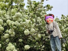 -大龙山(地铁站)