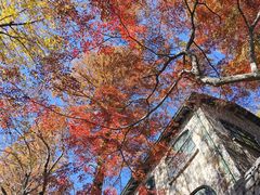 -莫干山风景区