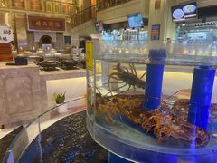 -新海渔港·胶东海鲜家常菜·家宴(奥体中心店)